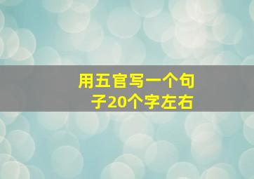 用五官写一个句子20个字左右