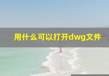 用什么可以打开dwg文件