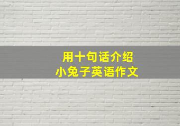 用十句话介绍小兔子英语作文