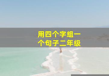 用四个字组一个句子二年级