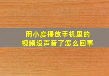 用小度播放手机里的视频没声音了怎么回事