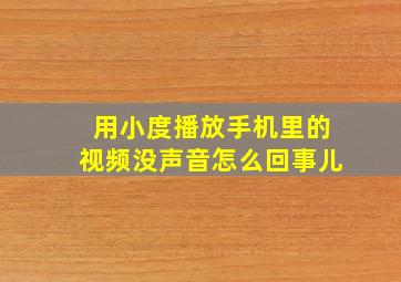 用小度播放手机里的视频没声音怎么回事儿