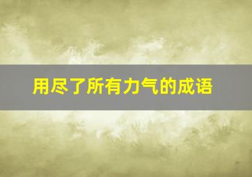 用尽了所有力气的成语