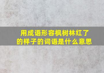 用成语形容枫树林红了的样子的词语是什么意思