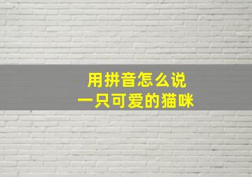 用拼音怎么说一只可爱的猫咪