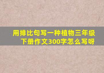 用排比句写一种植物三年级下册作文300字怎么写呀