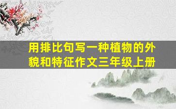 用排比句写一种植物的外貌和特征作文三年级上册