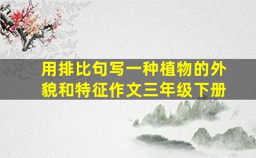 用排比句写一种植物的外貌和特征作文三年级下册