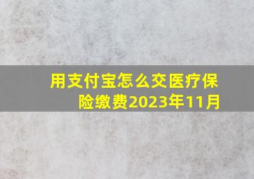 用支付宝怎么交医疗保险缴费2023年11月