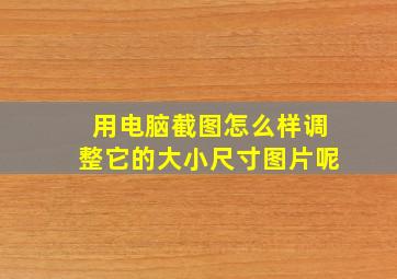 用电脑截图怎么样调整它的大小尺寸图片呢