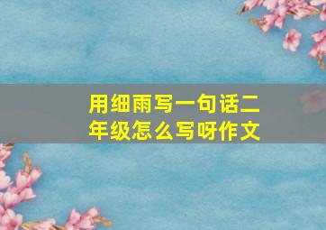 用细雨写一句话二年级怎么写呀作文