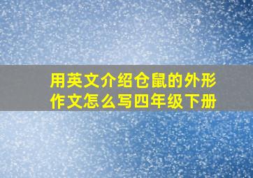 用英文介绍仓鼠的外形作文怎么写四年级下册