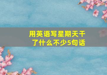 用英语写星期天干了什么不少5句话