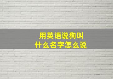 用英语说狗叫什么名字怎么说