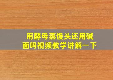 用酵母蒸馒头还用碱面吗视频教学讲解一下