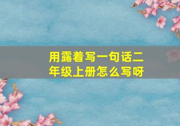 用露着写一句话二年级上册怎么写呀