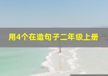 用4个在造句子二年级上册