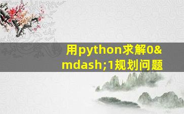 用python求解0—1规划问题