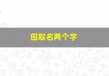 田取名两个字