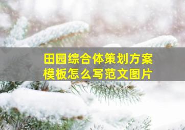 田园综合体策划方案模板怎么写范文图片