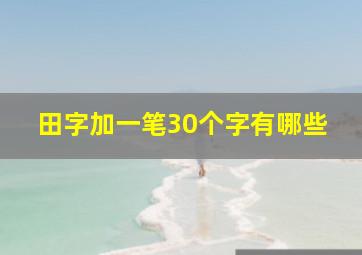 田字加一笔30个字有哪些