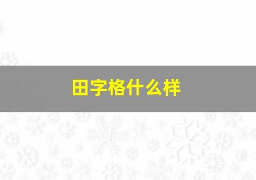 田字格什么样