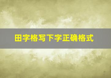 田字格写下字正确格式