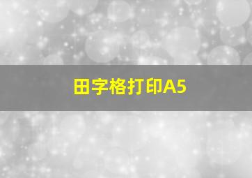 田字格打印A5