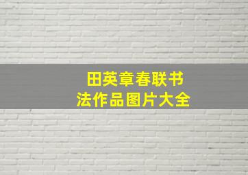 田英章春联书法作品图片大全