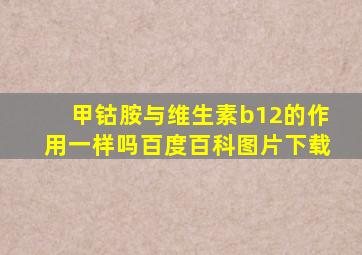 甲钴胺与维生素b12的作用一样吗百度百科图片下载