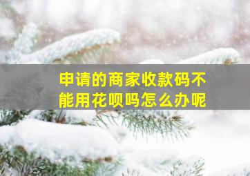 申请的商家收款码不能用花呗吗怎么办呢