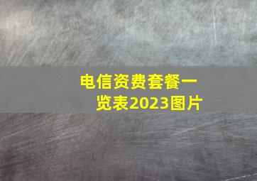 电信资费套餐一览表2023图片