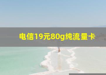 电信19元80g纯流量卡