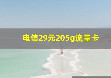 电信29元205g流量卡