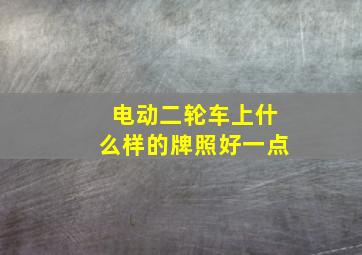 电动二轮车上什么样的牌照好一点