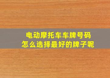 电动摩托车车牌号码怎么选择最好的牌子呢