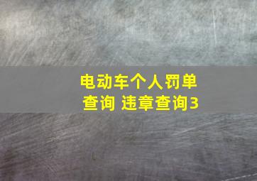 电动车个人罚单查询 违章查询3