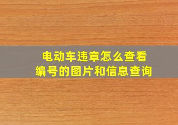 电动车违章怎么查看编号的图片和信息查询