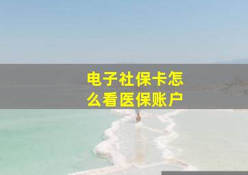 电子社保卡怎么看医保账户