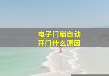 电子门锁自动开门什么原因