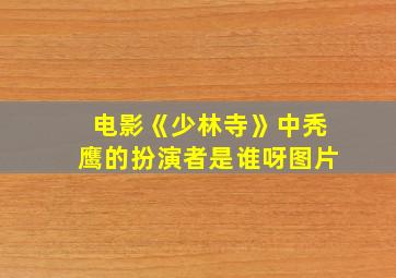 电影《少林寺》中秃鹰的扮演者是谁呀图片