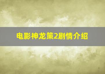 电影神龙策2剧情介绍