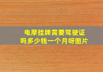 电摩挂牌需要驾驶证吗多少钱一个月呀图片