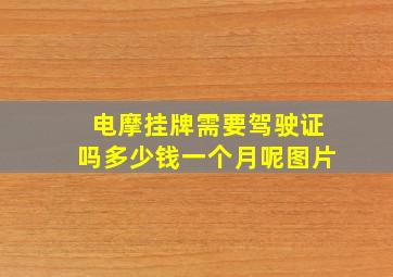 电摩挂牌需要驾驶证吗多少钱一个月呢图片