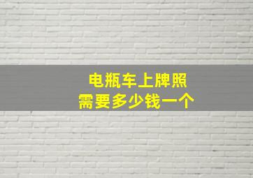 电瓶车上牌照需要多少钱一个