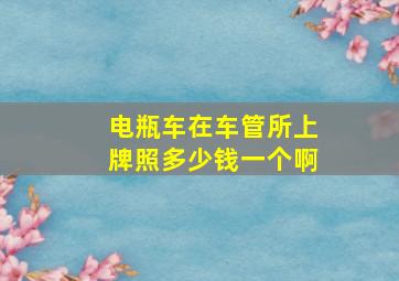 电瓶车在车管所上牌照多少钱一个啊