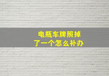 电瓶车牌照掉了一个怎么补办