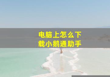 电脑上怎么下载小鹅通助手