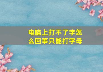 电脑上打不了字怎么回事只能打字母