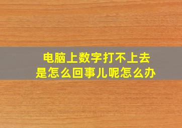 电脑上数字打不上去是怎么回事儿呢怎么办